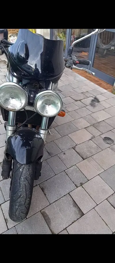 Triumph Speed Triple 955 (1998 - 01) usata