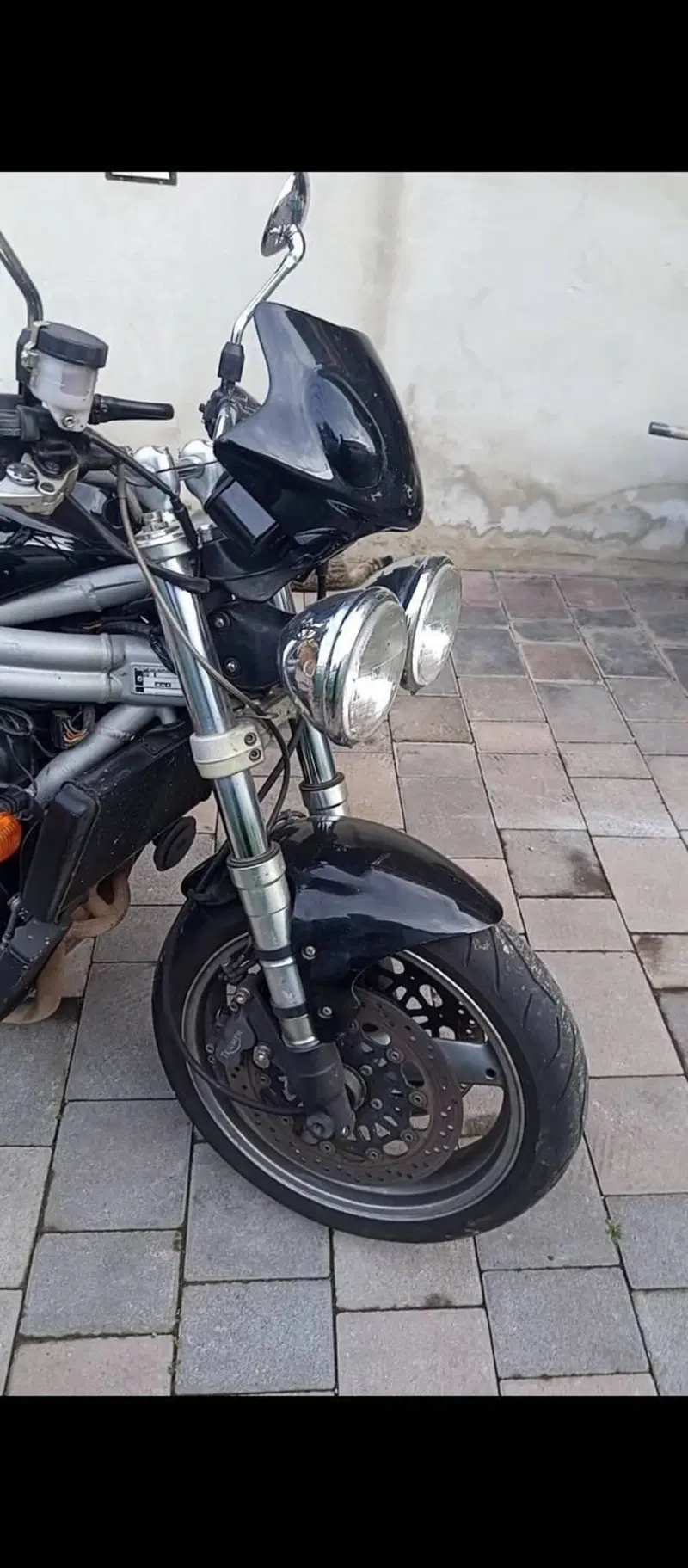 Triumph Speed Triple 955 (1998 - 01) (2)
