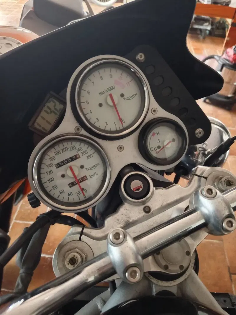 Triumph Speed Triple 955 (1998 - 01) (7)