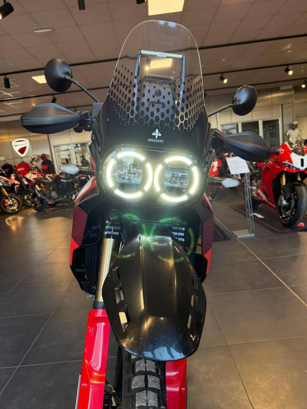 Ducati DesertX Rally (2024 - 25) (7)
