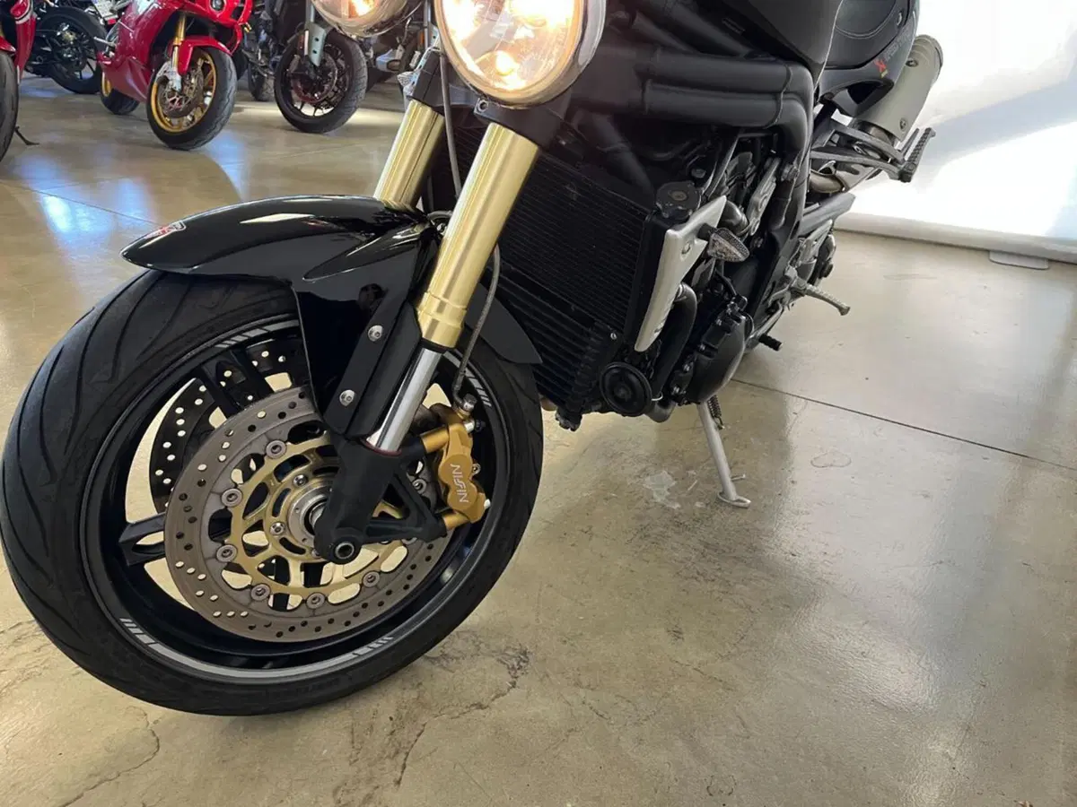 Triumph Speed Triple 1050 (2005 - 11) (3)