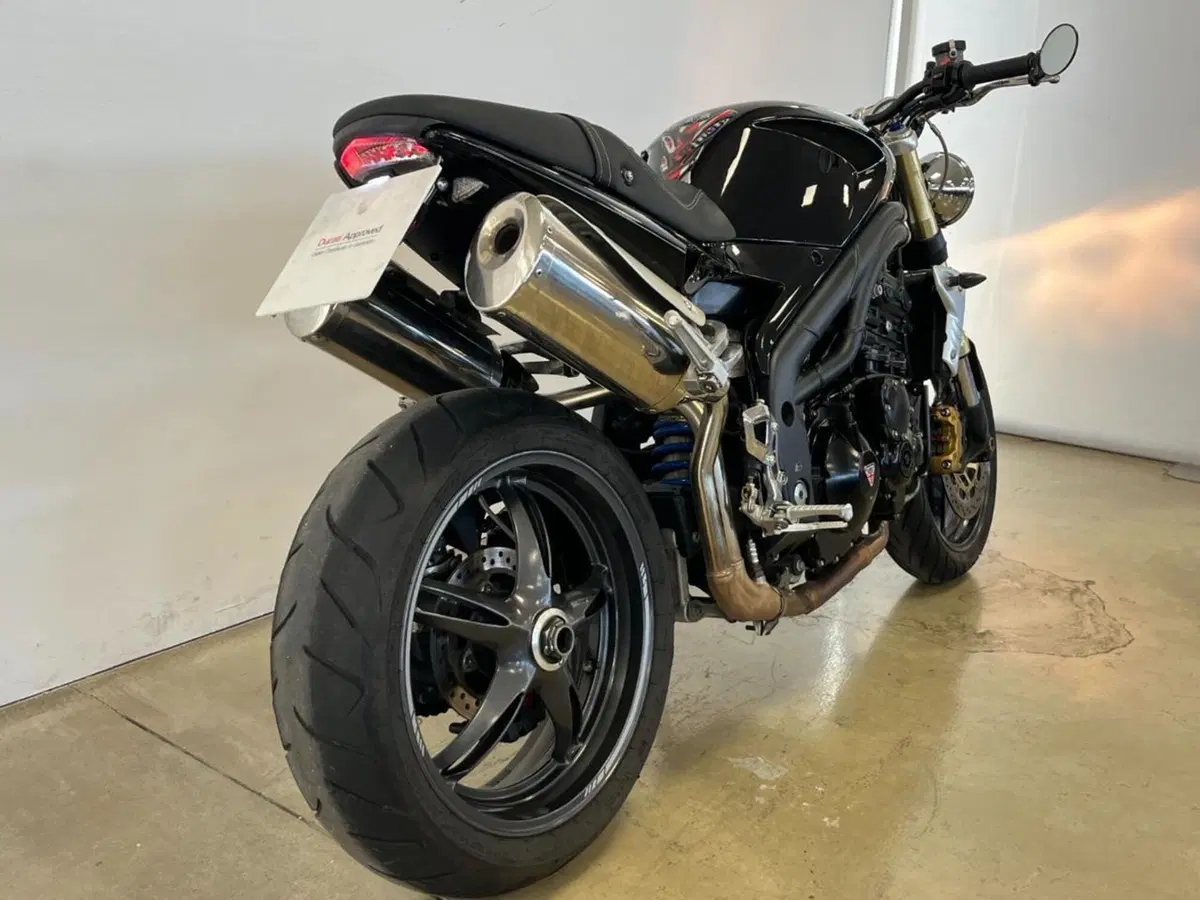 Triumph Speed Triple 1050 (2005 - 11) (7)