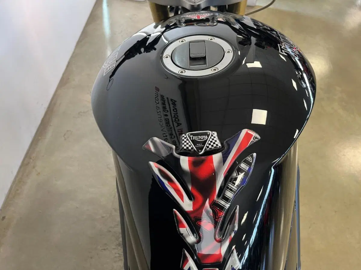 Triumph Speed Triple 1050 (2005 - 11) (9)