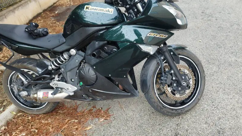 Kawasaki ER-6F (2009 - 11) (4)