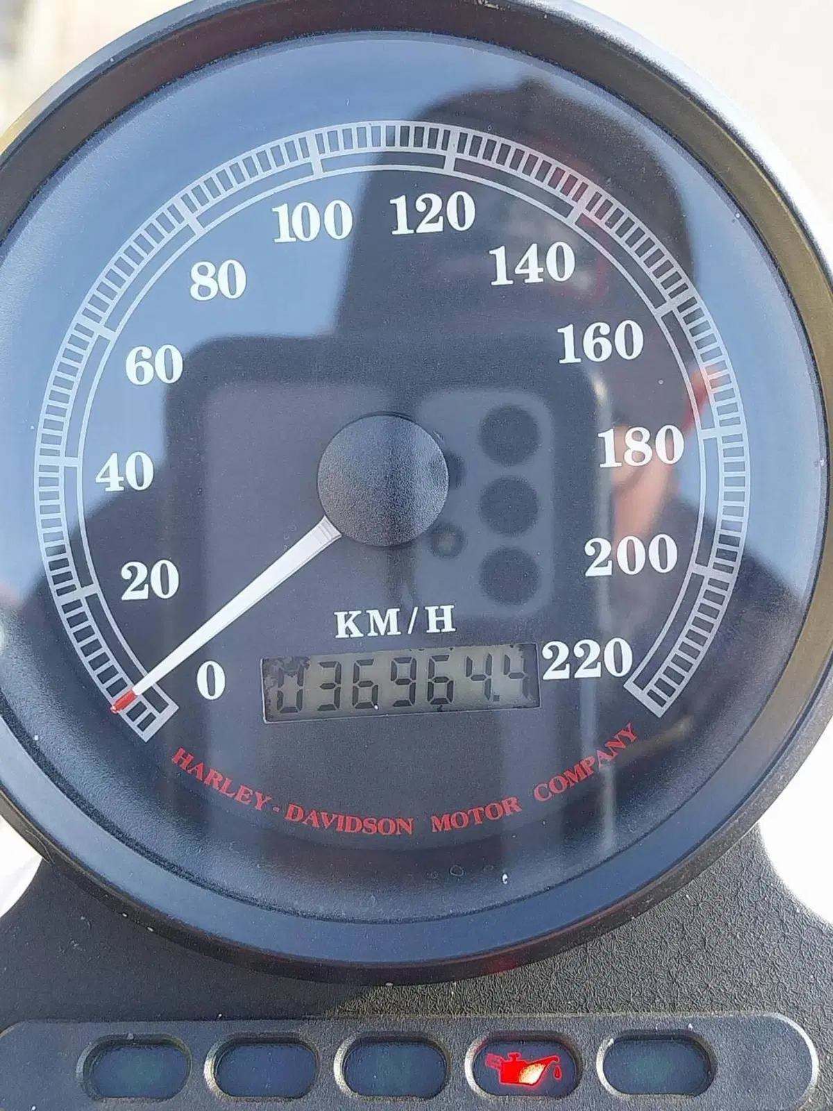 Harley-Davidson 883 Standard (1994 - 00) - XLH (7)