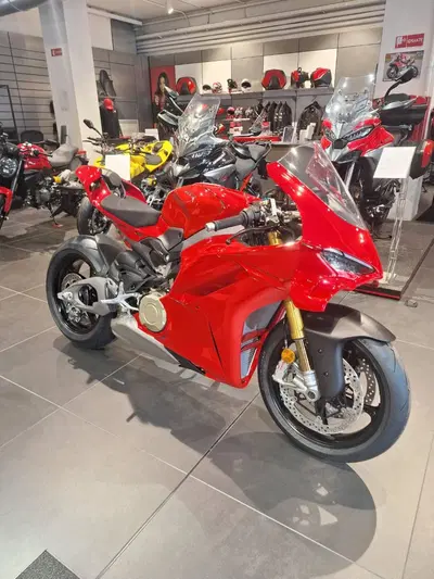 Ducati Panigale V4 S (2025 - 26) nuova