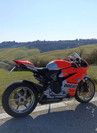 Ducati 1299 Panigale (2015 - 17) usata