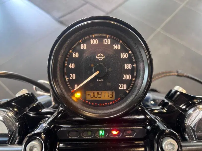Harley-Davidson 1200 Forty-Eight (2016 - 20) (7)