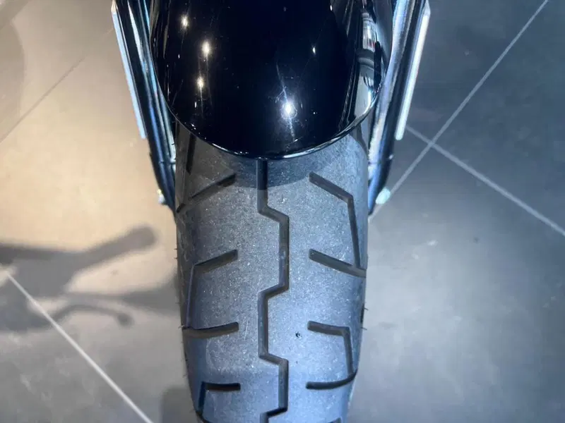 Harley-Davidson 1200 Forty-Eight (2016 - 20) (12)