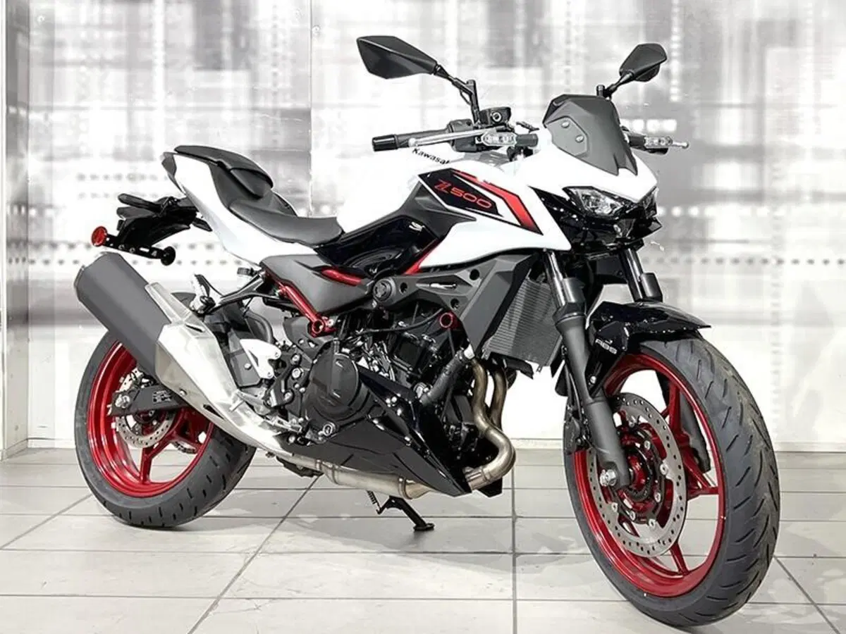 Kawasaki Z 500 SE (2024 - 26)