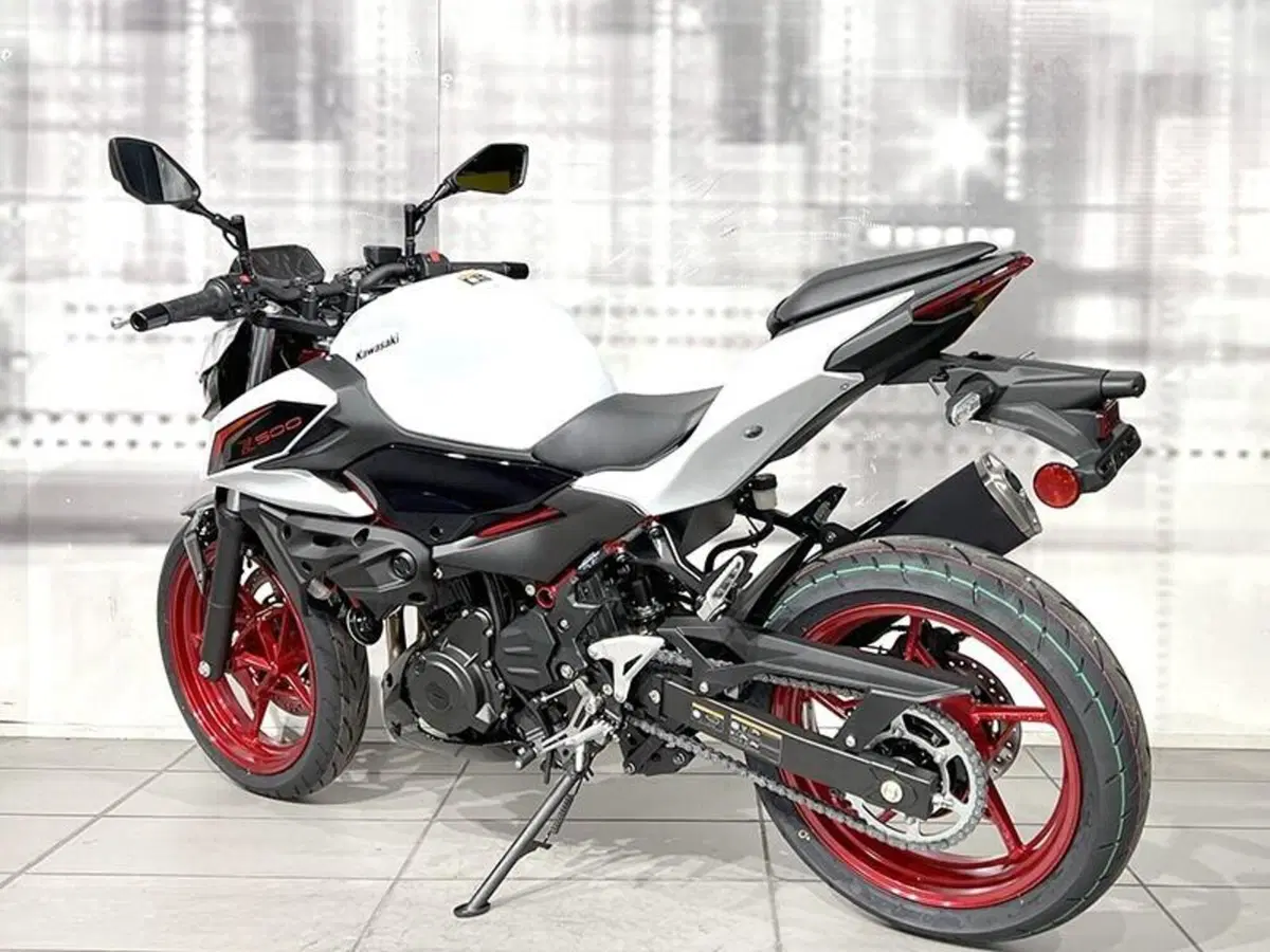 Kawasaki Z 500 SE (2024 - 26) (2)