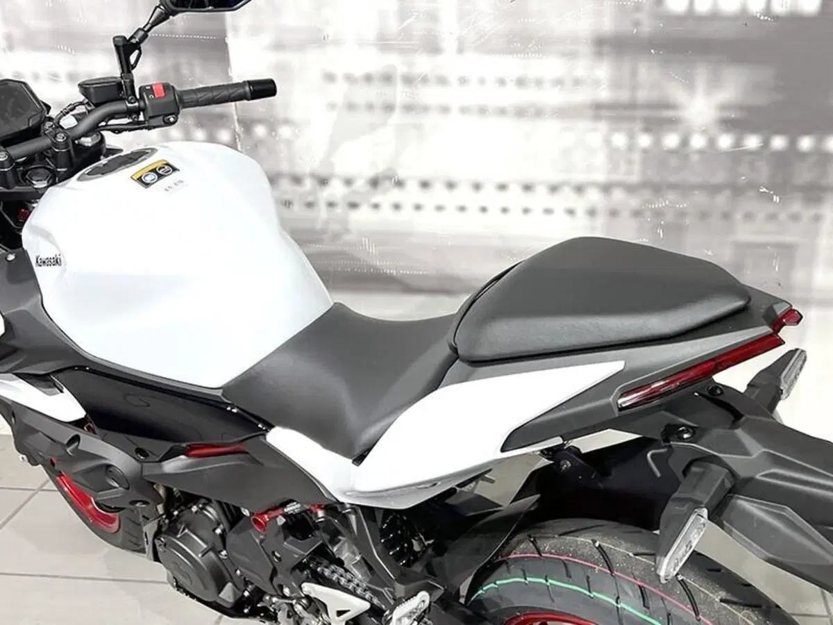 Kawasaki Z 500 SE (2024 - 26) (4)