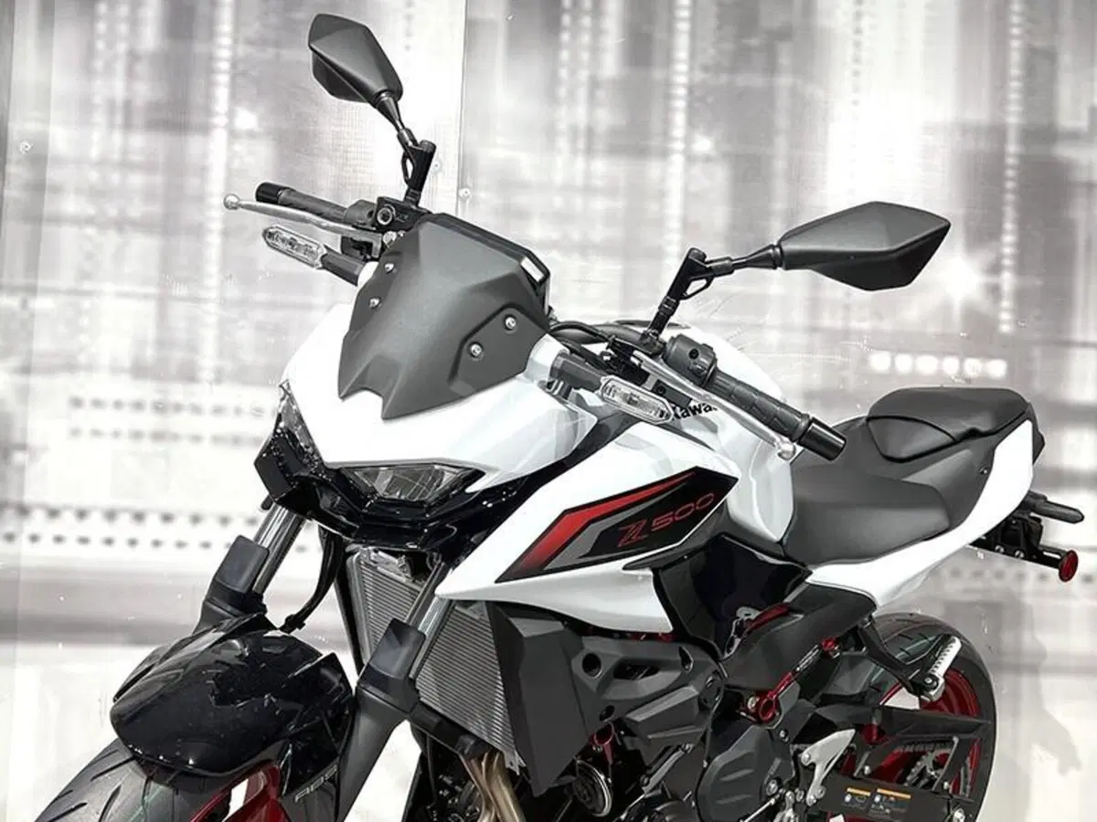 Kawasaki Z 500 SE (2024 - 26) (5)