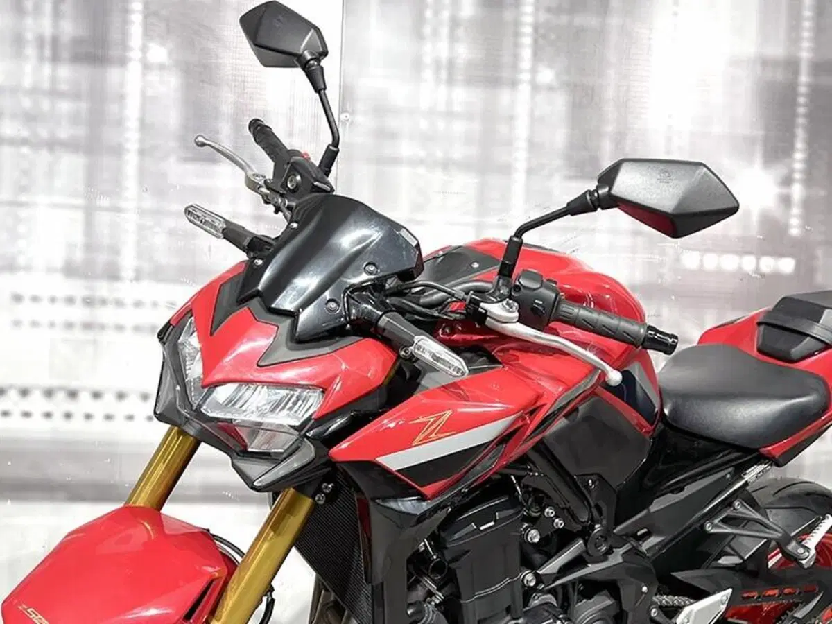 Kawasaki Z 900 50th Anniversary (2022 - 23) (5)