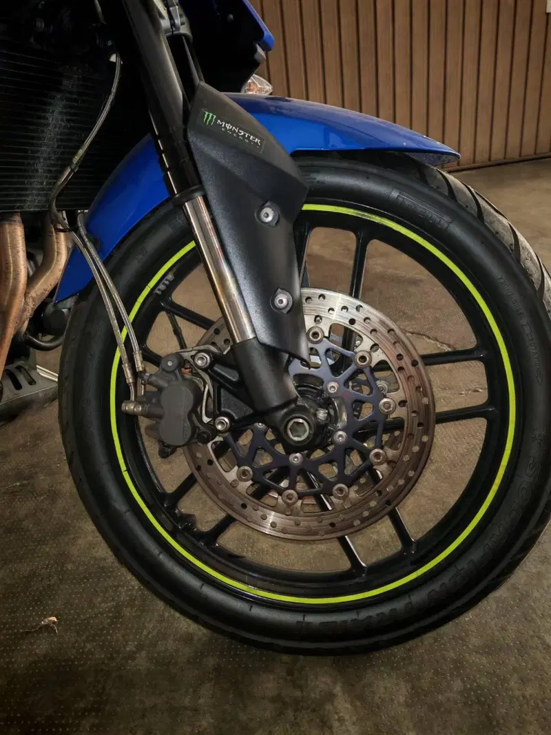 Triumph Tiger 800 XC (2015 - 17) (3)