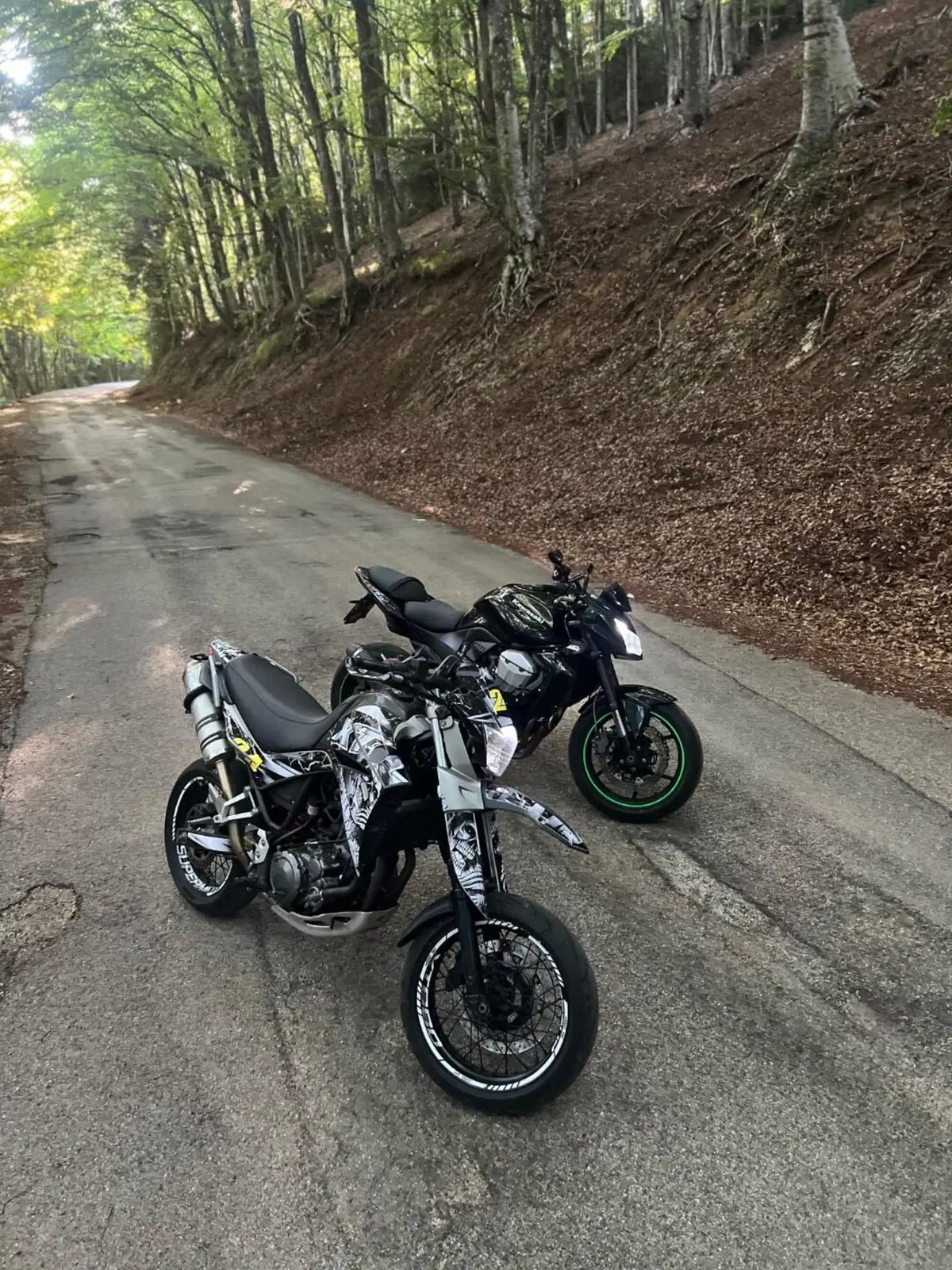 Yamaha XT 660 X (2004 - 16)