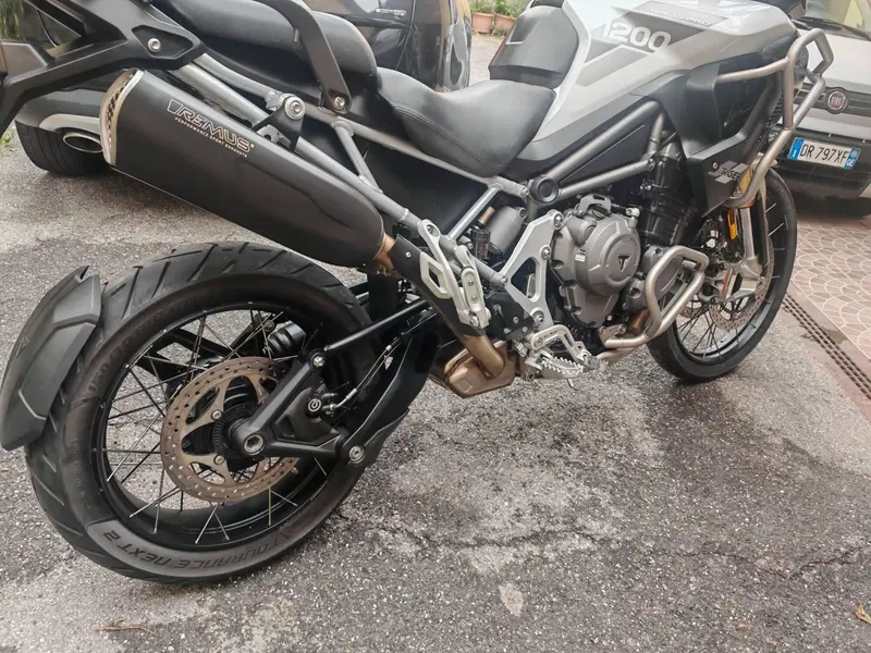 Triumph Tiger 1200 Rally Pro (2024 - 26) (3)