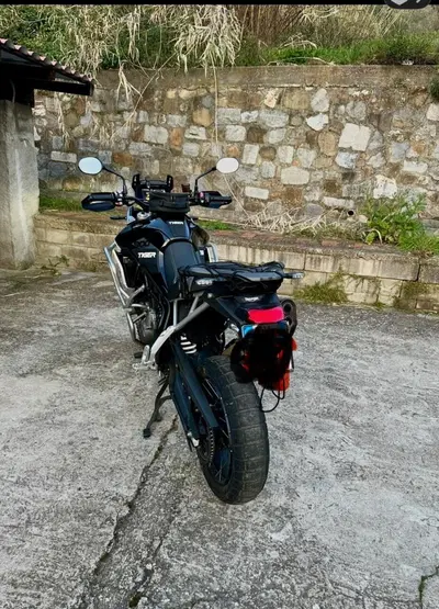 Triumph Tiger 900 Rally Pro (2020 - 23) usata