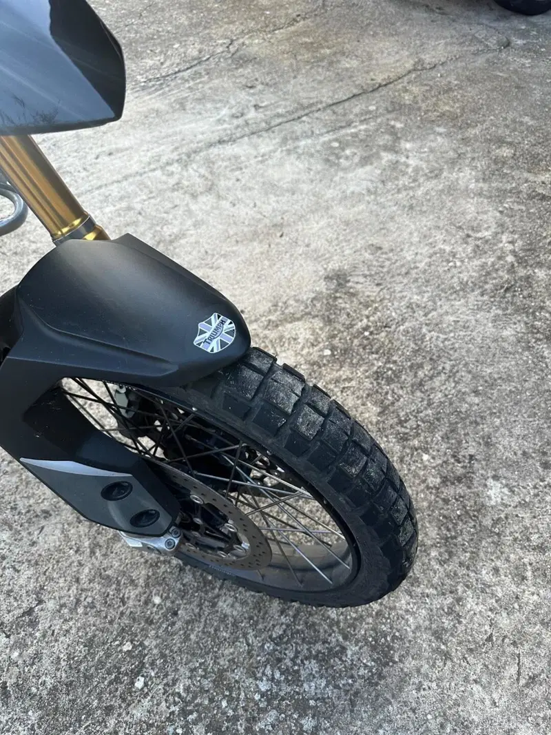 Triumph Tiger 900 Rally Pro (2020 - 23) (5)