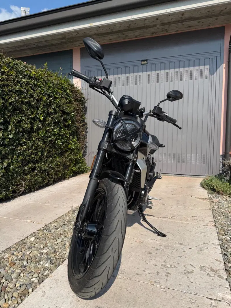 Ducati Scrambler 800 Icon (2023 - 24) (2)