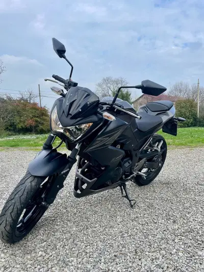 Kawasaki Z 300 ABS (2015 - 16) usata