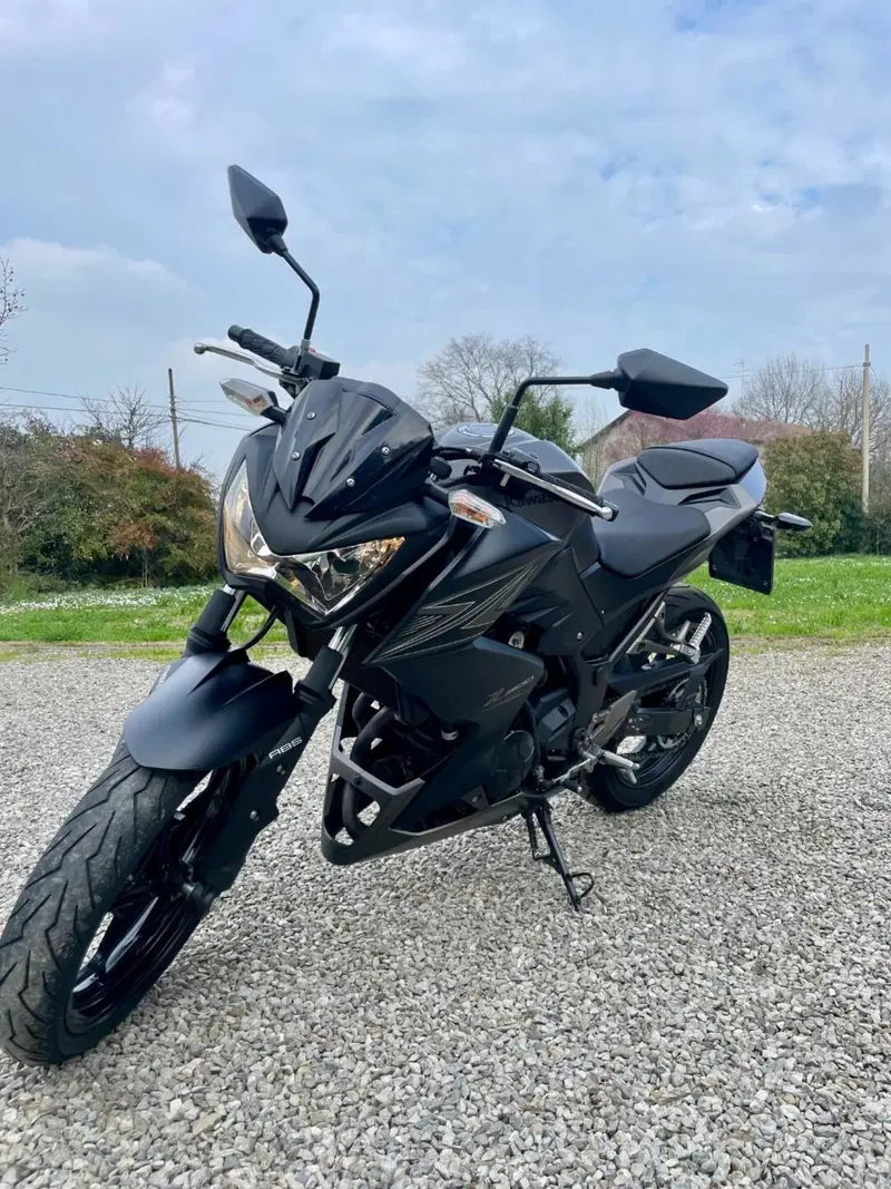 Kawasaki Z 300 ABS (2015 - 16)