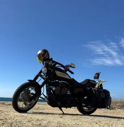 Harley-Davidson 1200 Roadster (2006 - 08) - XL 1200R usata