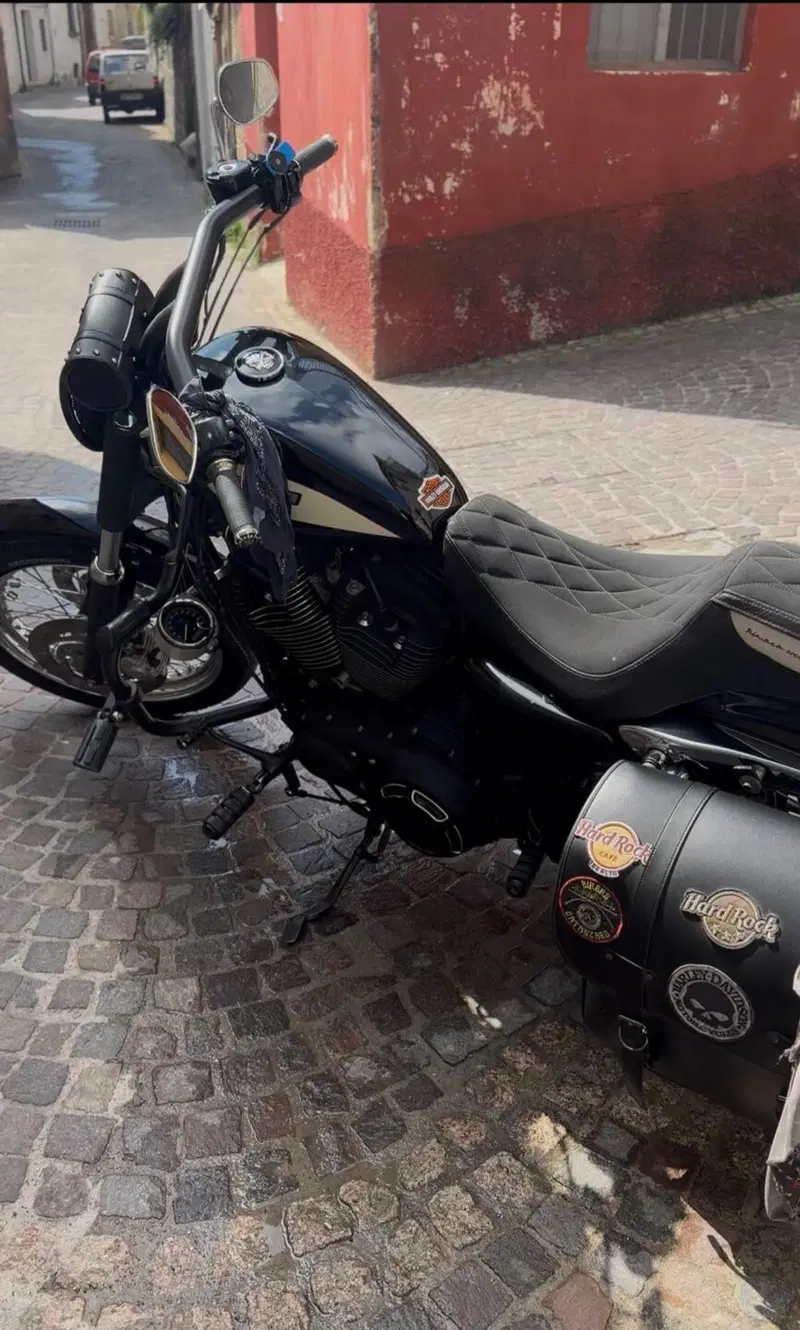 Harley-Davidson 1200 Roadster (2006 - 08) - XL 1200R (2)