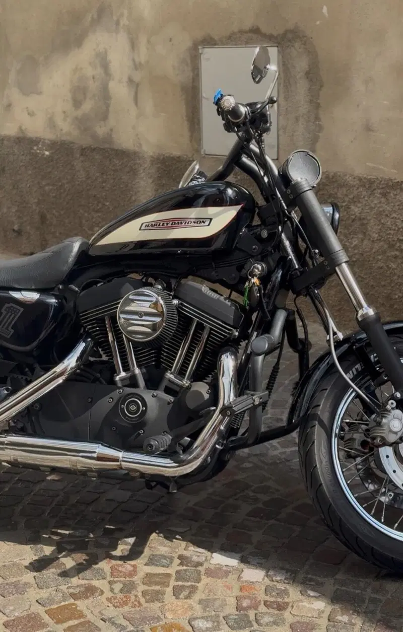 Harley-Davidson 1200 Roadster (2006 - 08) - XL 1200R (6)