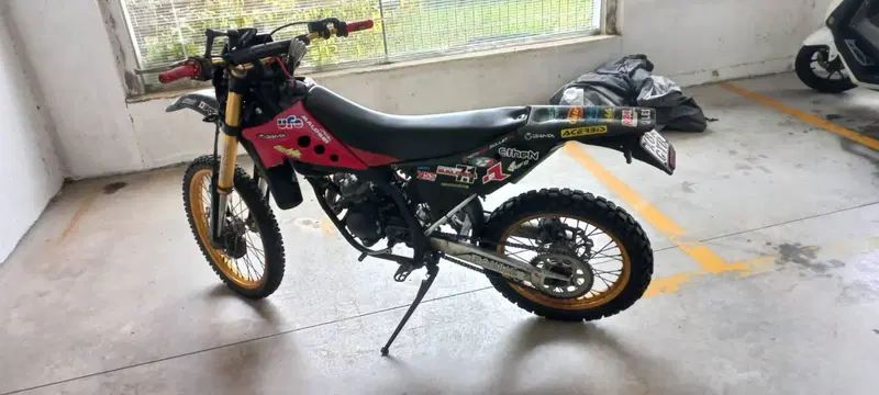 Fantic Motor Caballero 50 Regolarità Casa (2007 - 08) (6)