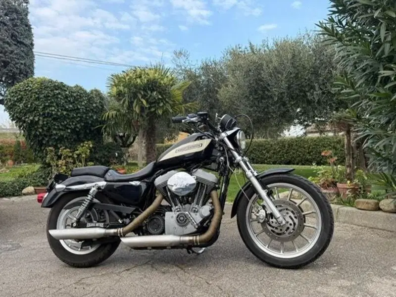 Harley-Davidson 1200 Roadster (2002 - 05) - XL 1200R (3)