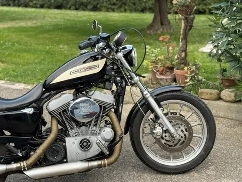 Harley-Davidson 1200 Roadster (2002 - 05) - XL 1200R (4)
