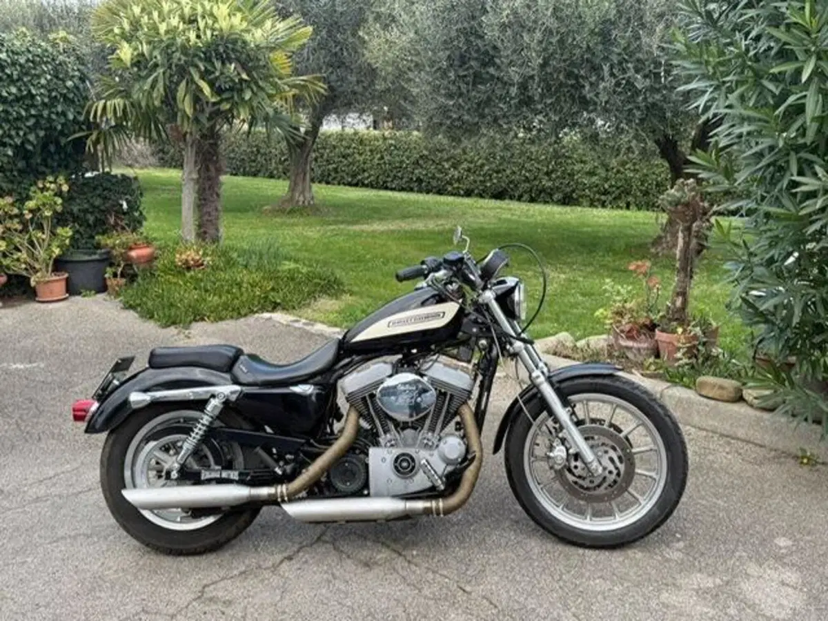 Harley-Davidson 1200 Roadster (2002 - 05) - XL 1200R (5)