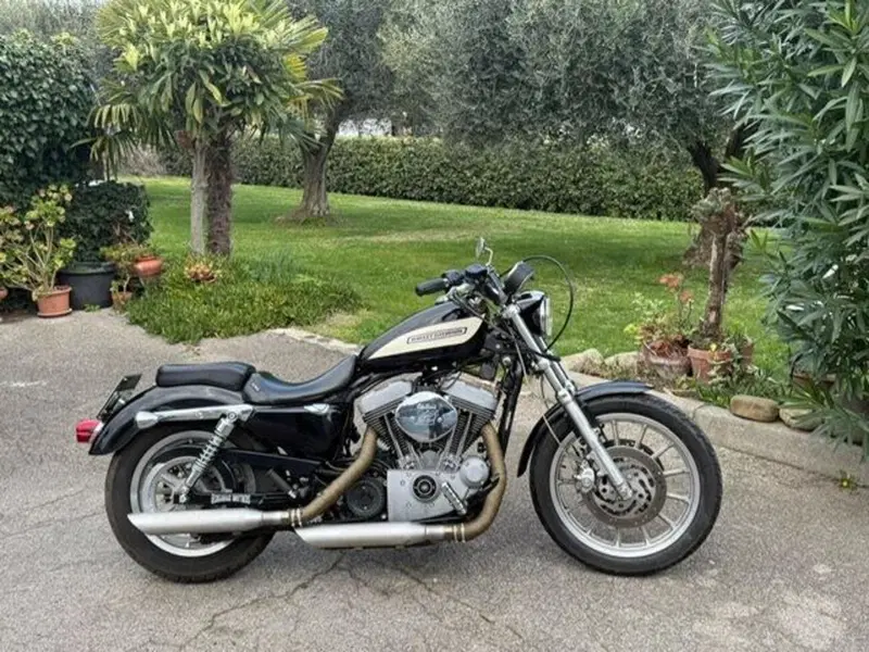 Harley-Davidson 1200 Roadster (2002 - 05) - XL 1200R (5)