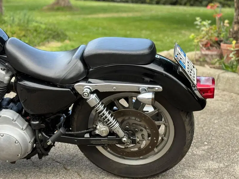 Harley-Davidson 1200 Roadster (2002 - 05) - XL 1200R (12)