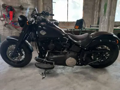 Harley-Davidson 1690 Slim (2011 - 16) - FLS usata