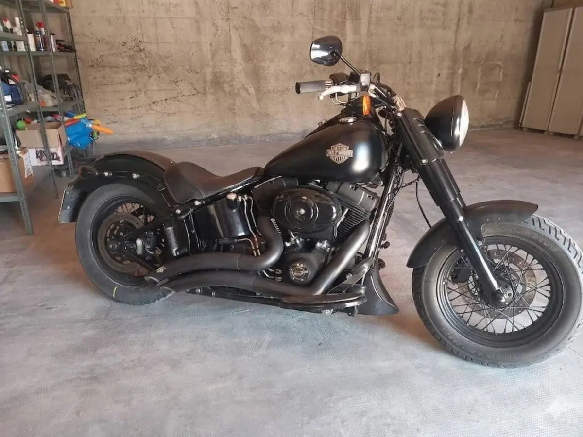 Harley-Davidson 1690 Slim (2011 - 16) - FLS (2)