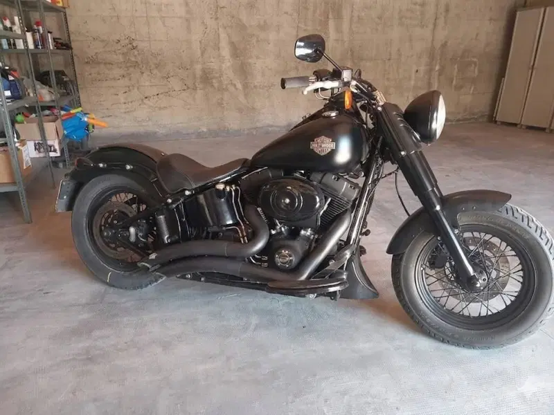 Harley-Davidson 1690 Slim (2011 - 16) - FLS (2)