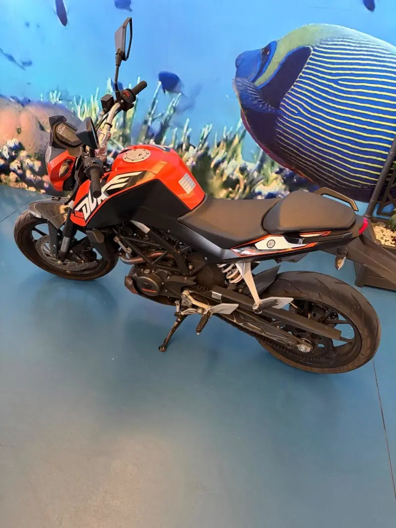 KTM 125 Duke ABS (2013 - 16)