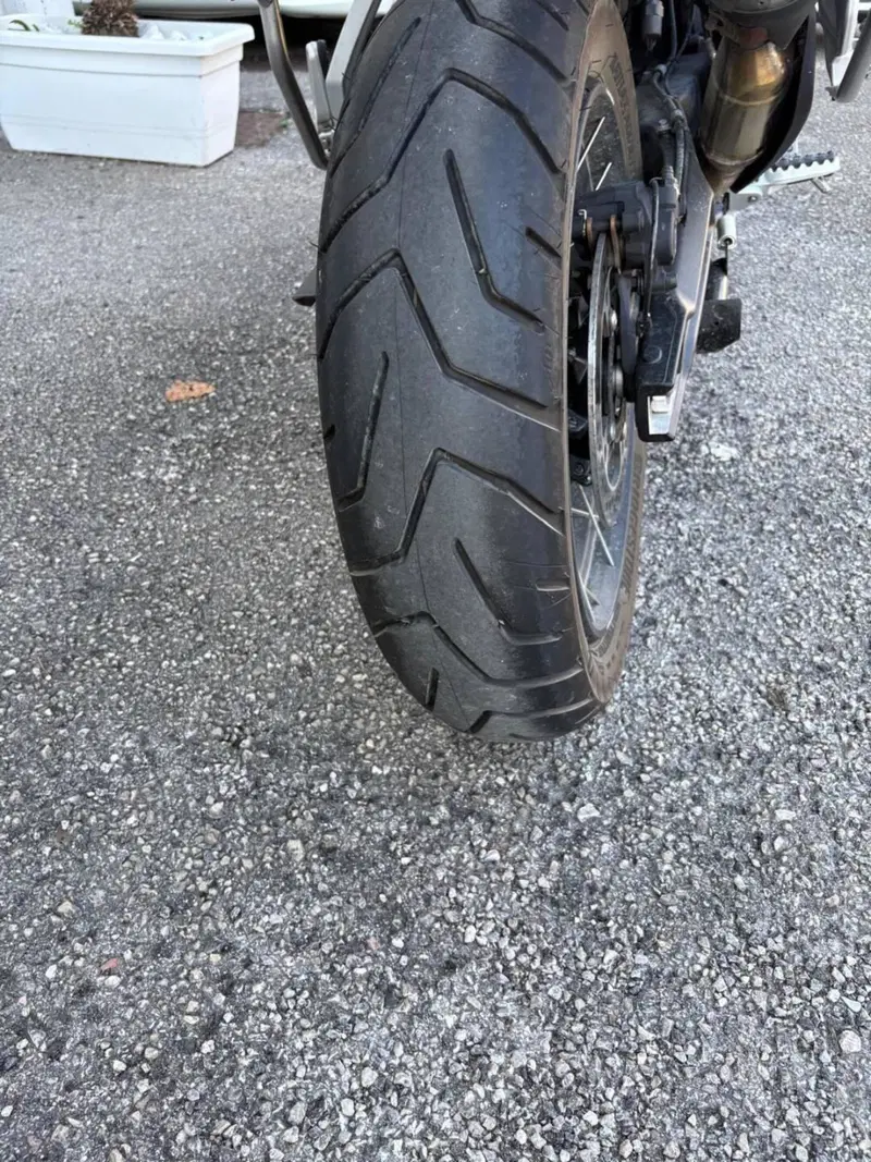 Triumph Tiger 900 Rally Aragón Edition (2023 - 24) (6)