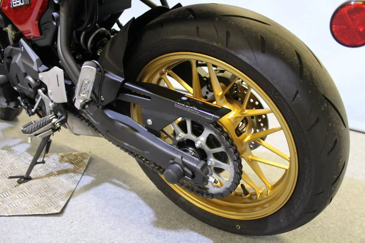 Kawasaki Z 650 RS (2025 - 26) (15)
