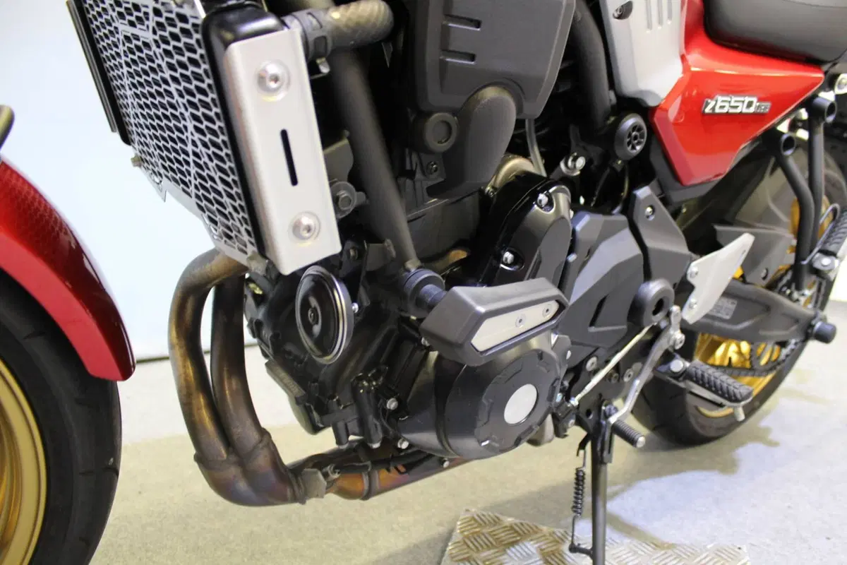 Kawasaki Z 650 RS (2025 - 26) (17)