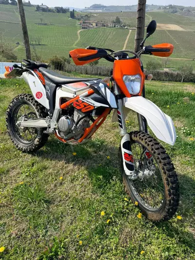 KTM Freeride 250 F (2018 - 20) usata