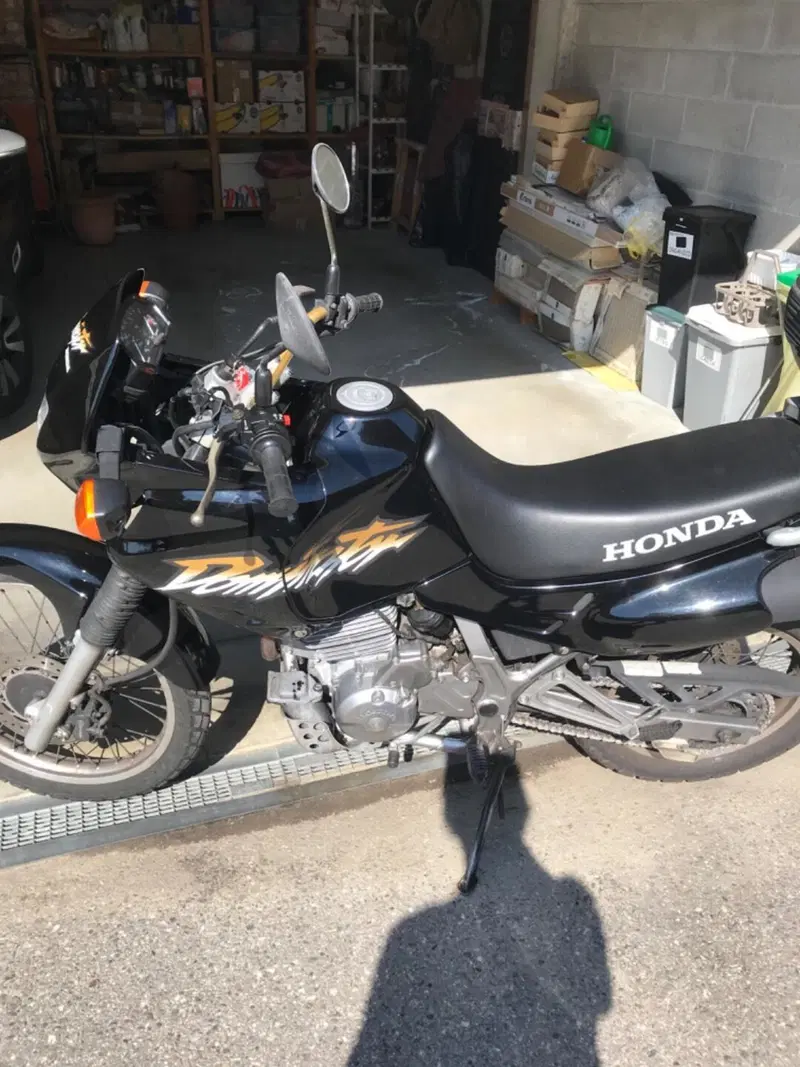 Honda NX 650 Dominator (1996 - 02)