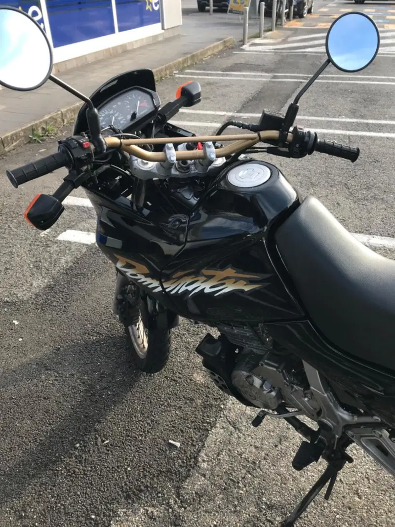 Honda NX 650 Dominator (1996 - 02) (3)
