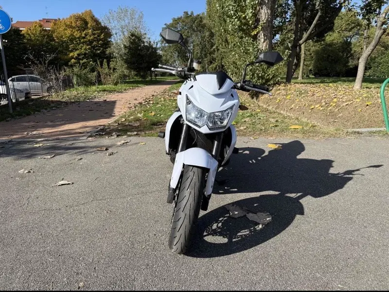 Kawasaki Z 750 (2007 - 14) (4)