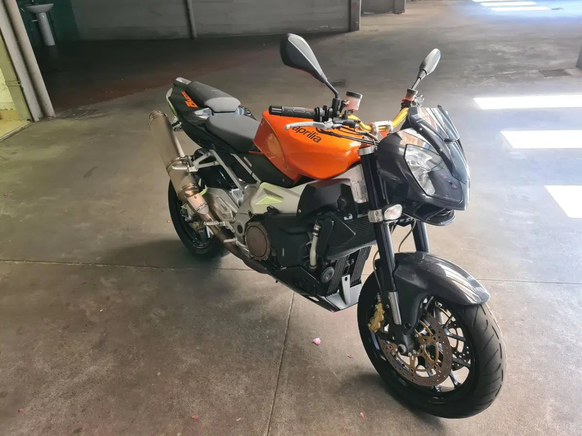 Aprilia Tuono 1000 R (2006 - 10) (2)