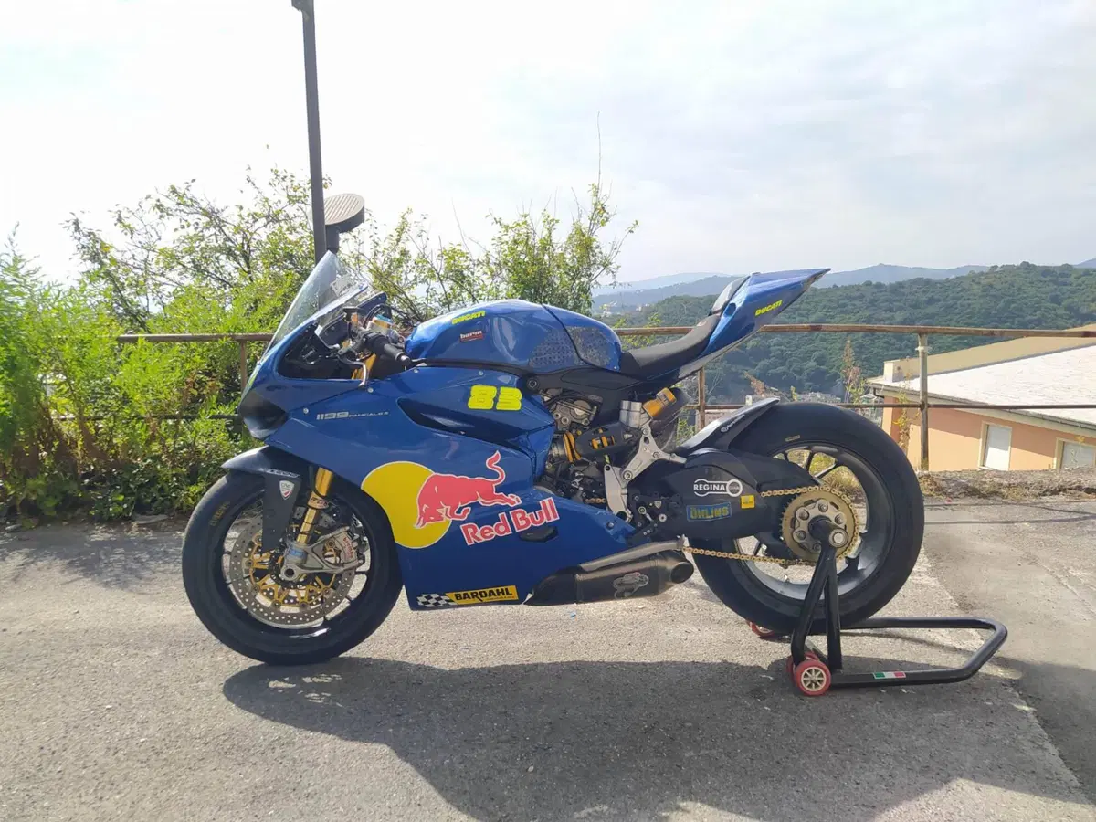 Ducati 1199 Panigale R ABS (2013 - 17) (5)