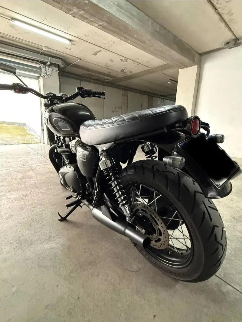 Triumph Bonneville T100 (2017 - 20) (7)
