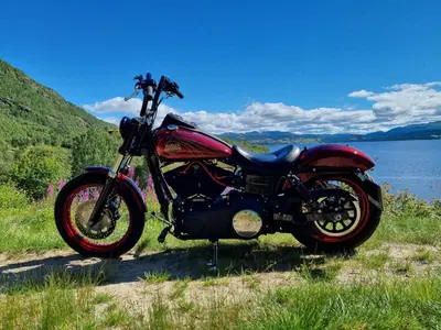 Harley-Davidson 1690 Street Bob Special (2015 - 16) - FXDB usata